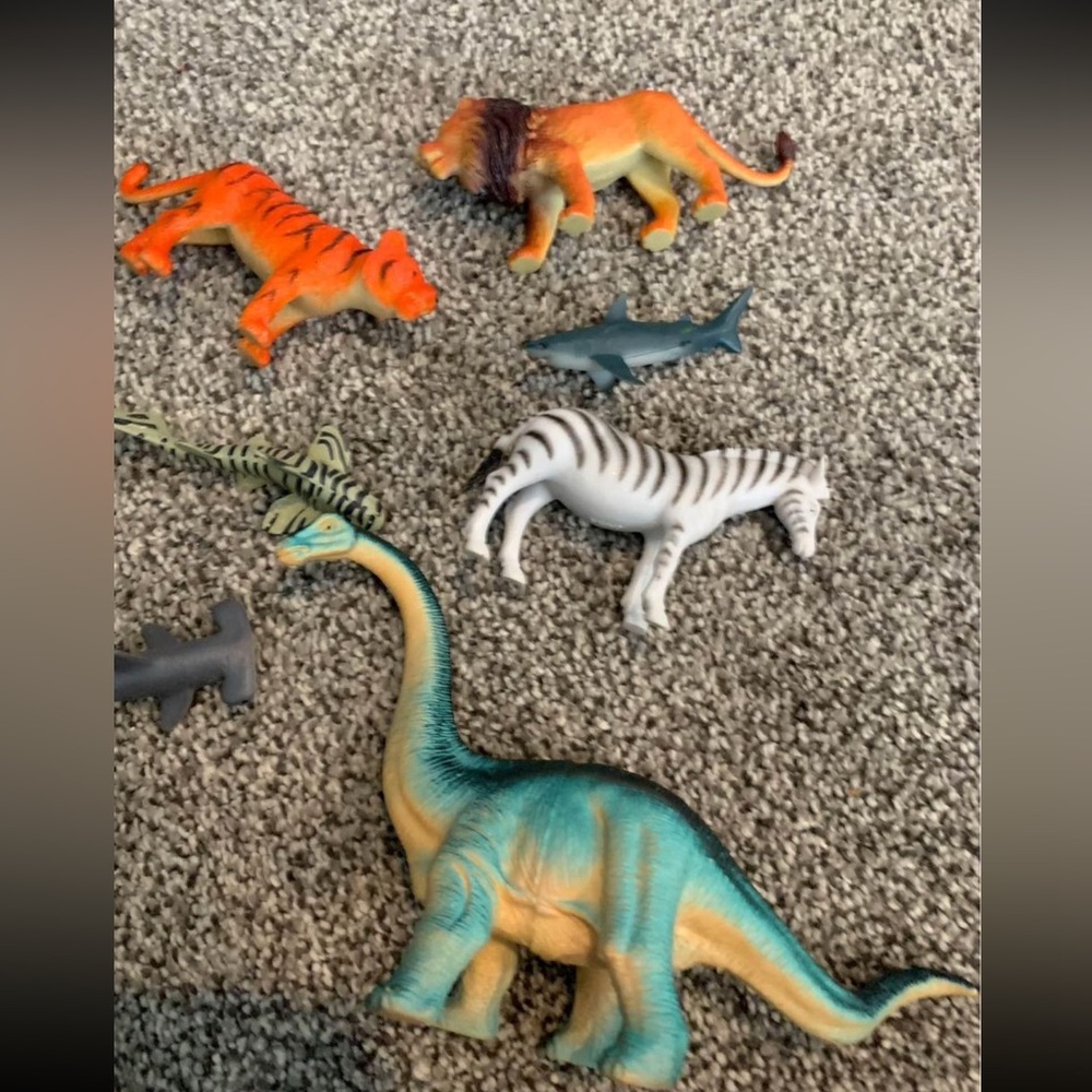 Animal Lot - Picture 4 of 4